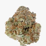Cali Orange