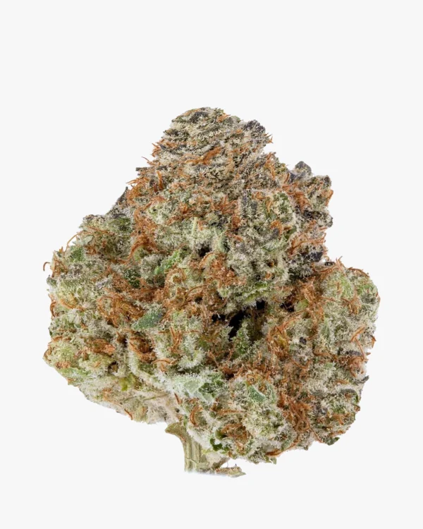 Cali Orange