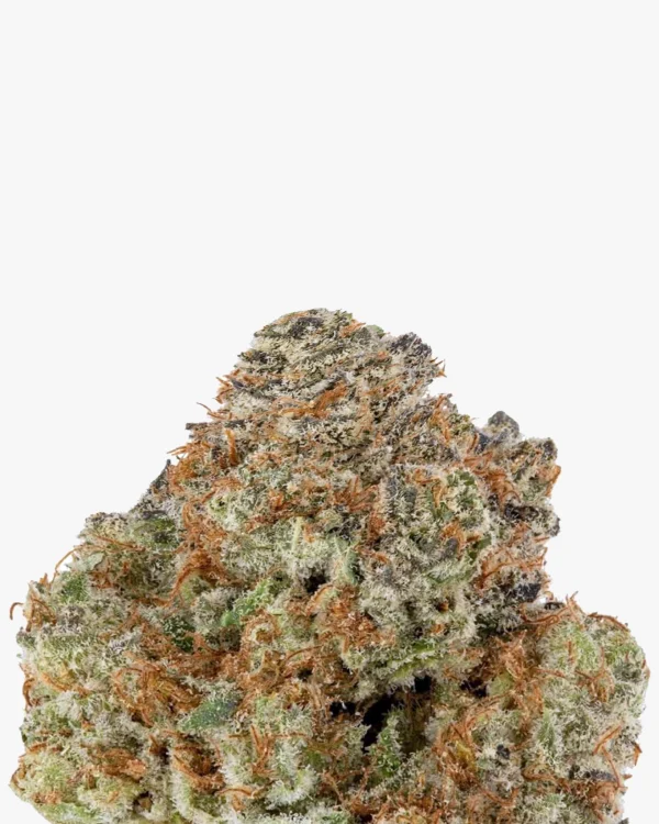 Cali Orange