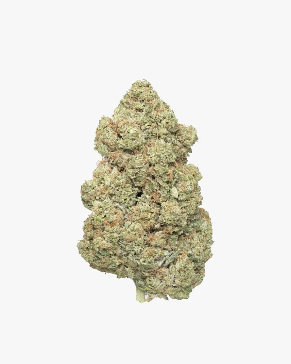 White Widow