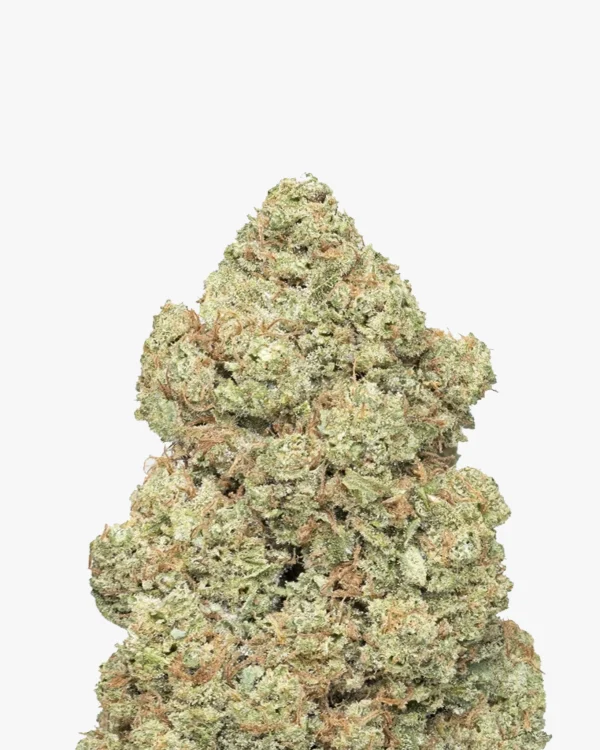 White Widow