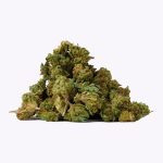 Small Buds – White Widow